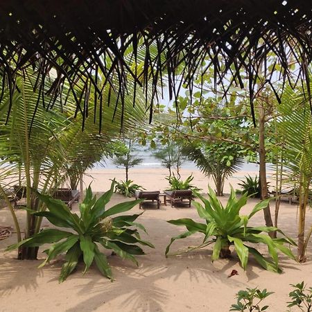 蝴蝶海滩格罗夫酒店 阿贡达 外观 照片